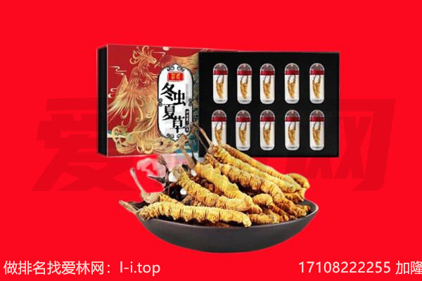 固原回收虫草.jpg